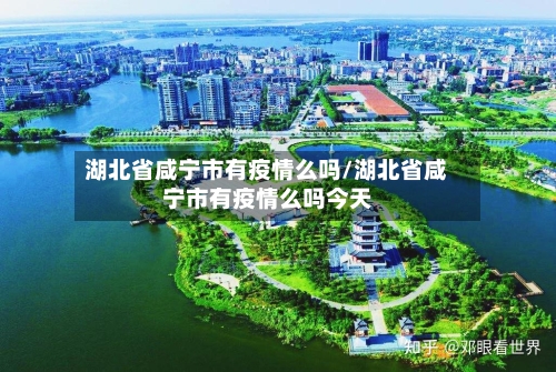 湖北省咸宁市有疫情么吗/湖北省咸宁市有疫情么吗今天-第3张图片