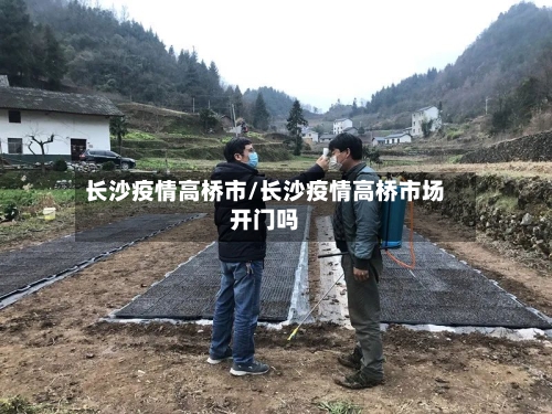 长沙疫情高桥市/长沙疫情高桥市场开门吗-第3张图片