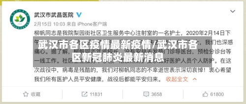 武汉市各区疫情最新疫情/武汉市各区新冠肺炎最新消息-第1张图片