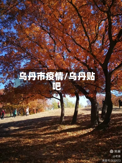 乌丹市疫情/乌丹贴吧-第1张图片