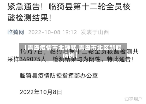 【青岛疫情市北静默,青岛市北区新冠病例】-第3张图片