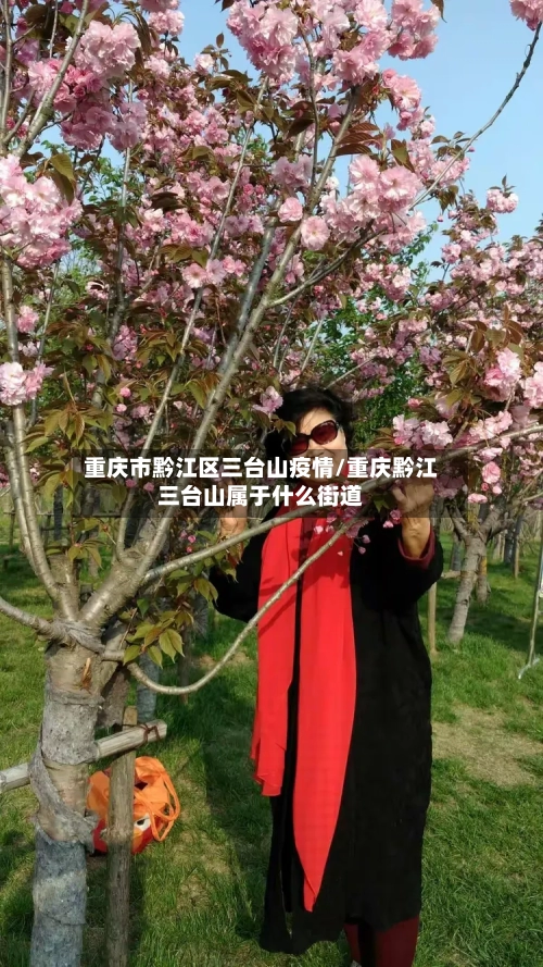 重庆市黔江区三台山疫情/重庆黔江三台山属于什么街道-第2张图片