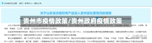 贵州市疫情政策/贵州政府疫情政策-第1张图片