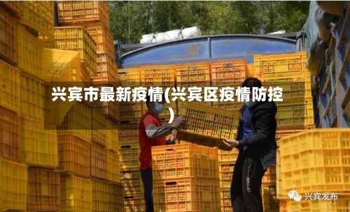 兴宾市最新疫情(兴宾区疫情防控)-第3张图片