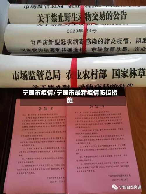 宁国市疫情/宁国市最新疫情防控措施-第2张图片