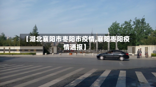 【湖北襄阳市枣阳市疫情,襄阳枣阳疫情通报】-第2张图片