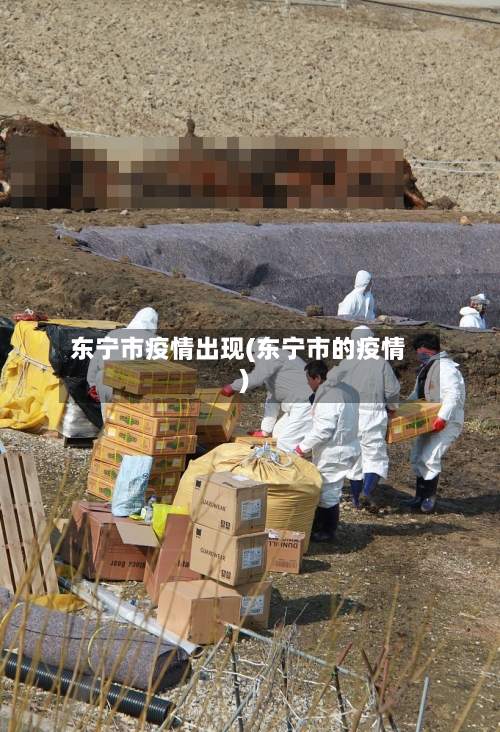 东宁市疫情出现(东宁市的疫情)-第1张图片
