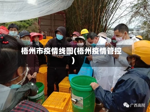 梧州市疫情线图(梧州疫情管控)-第2张图片