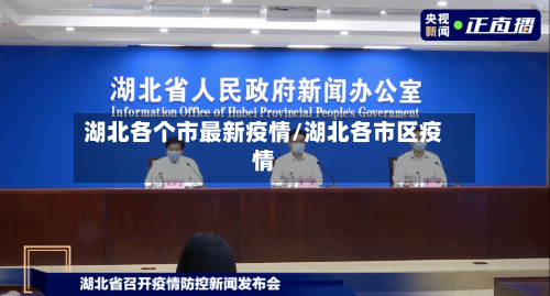 湖北各个市最新疫情/湖北各市区疫情-第2张图片