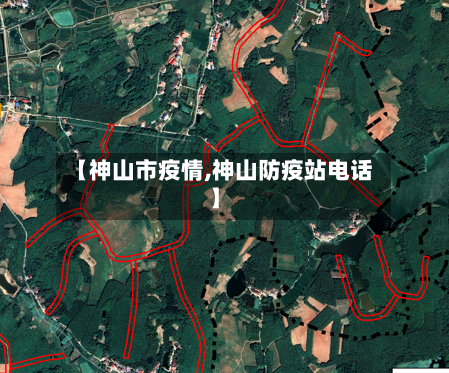 【神山市疫情,神山防疫站电话】-第1张图片