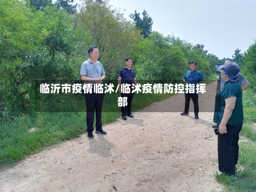 临沂市疫情临沭/临沭疫情防控指挥部-第3张图片