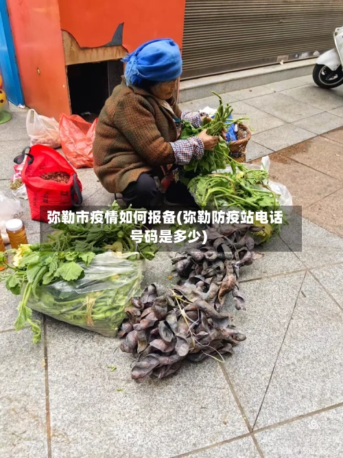 弥勒市疫情如何报备(弥勒防疫站电话号码是多少)-第1张图片