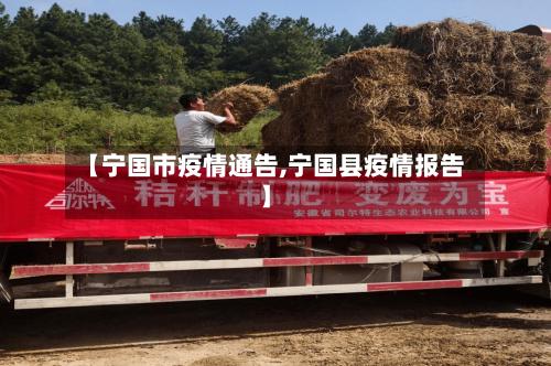 【宁国市疫情通告,宁国县疫情报告】-第1张图片