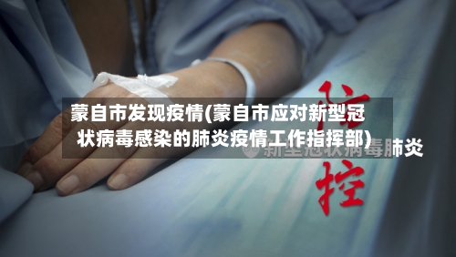 蒙自市发现疫情(蒙自市应对新型冠状病毒感染的肺炎疫情工作指挥部)-第3张图片