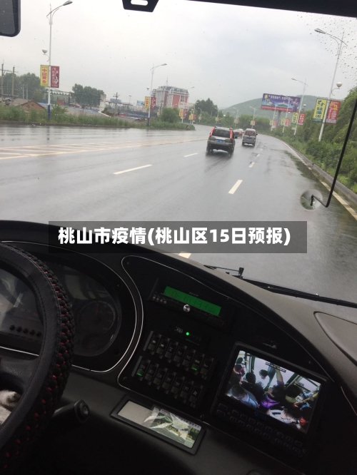 桃山市疫情(桃山区15日预报)-第1张图片