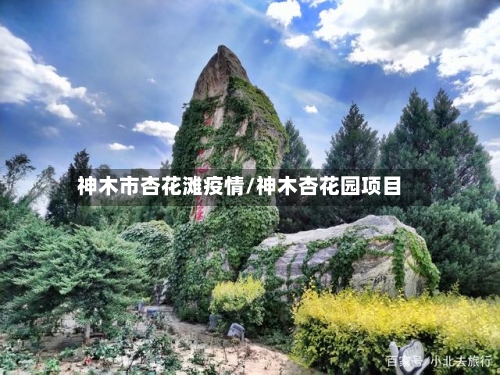 神木市杏花滩疫情/神木杏花园项目-第2张图片