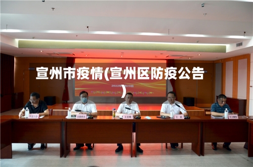 宣州市疫情(宣州区防疫公告)-第2张图片