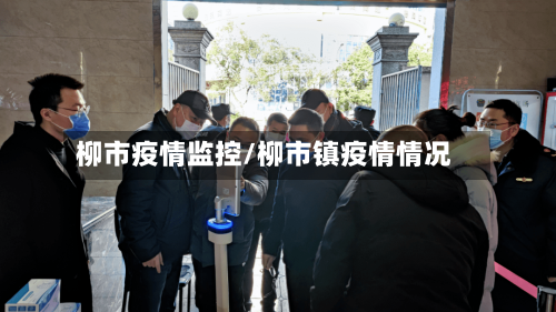 柳市疫情监控/柳市镇疫情情况-第1张图片