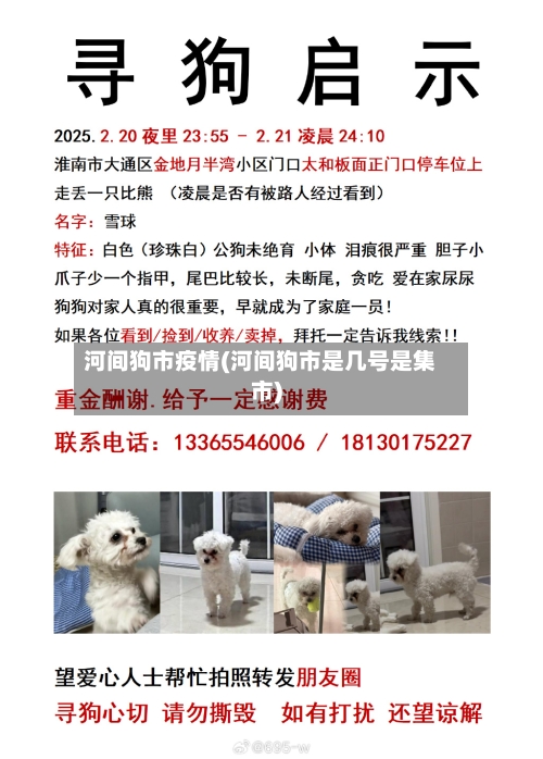 河间狗市疫情(河间狗市是几号是集市)-第2张图片